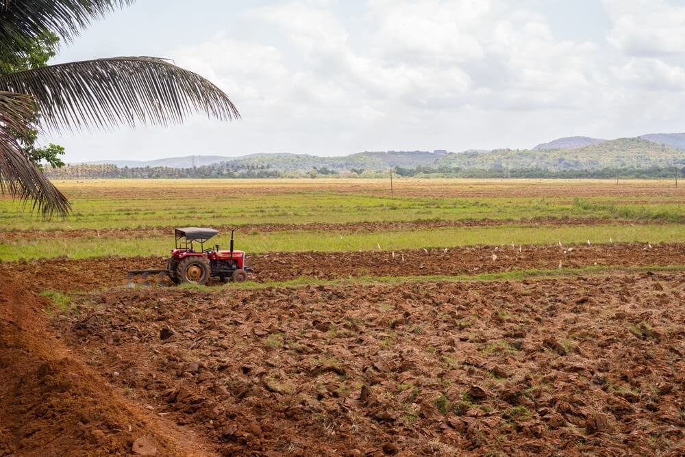 farming (1)